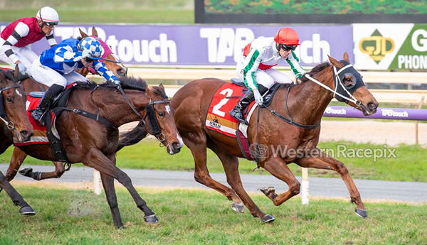Phanta wins his second Listed Belmont Newmarket - image Western Racepix