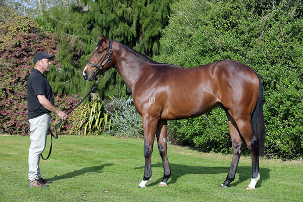 $150,000 Yulong Sold Yearling, Before $525,000 Yulong Purchased R2R Graduate