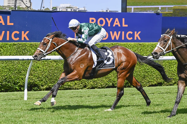 Pictor Holds Off Stablemate Panova To Break His Maiden - Image Bradley Photos