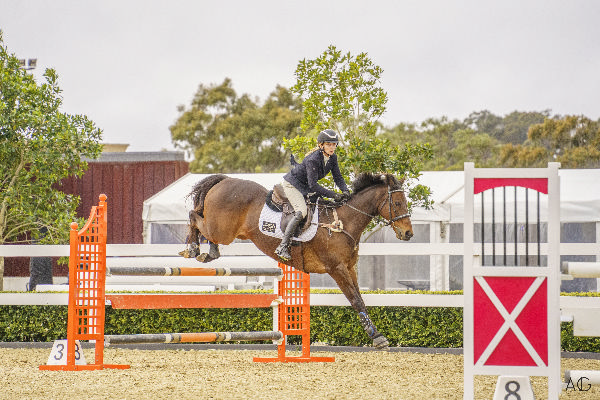 Tara Madgwick and her off the track jumper Pie had a warm up for Equimillion at Willinga Park last week.