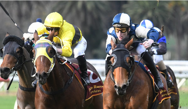 Pier (outside) winning at Te Aroha on Monday.  Photo: Kenton Wright (Race Images)