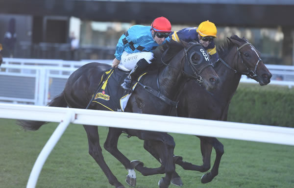 Pierata was in front everywhere but on the line in the G1 All Aged Stakes - image Steve Hart
