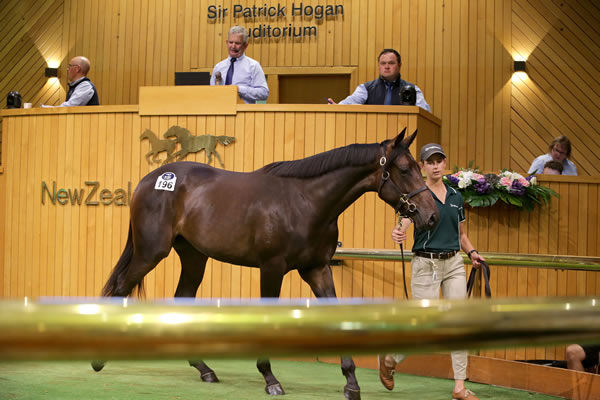 Lot 196, the Pierro filly out of Group Two winner Forever Loved, was one of two $450,000 purchases for Brian and Peggy Flannery at Karaka on Sunday. Photo: Trish Dunell