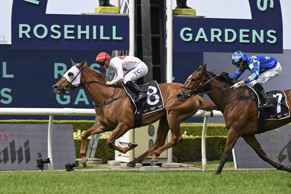 Piggyback wins the G3 Colin Stephen Quality - image Bradley Photography