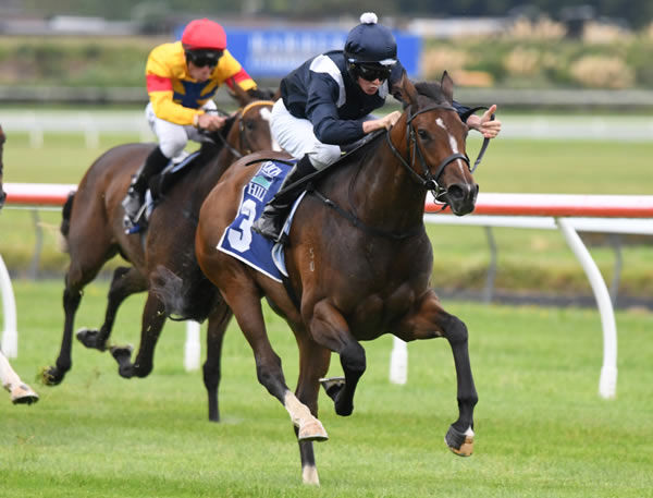 Smart Staphanos two-year-old Pignan winning at Trentham on Saturday Photo: Race Images PN (Peter Rubery)