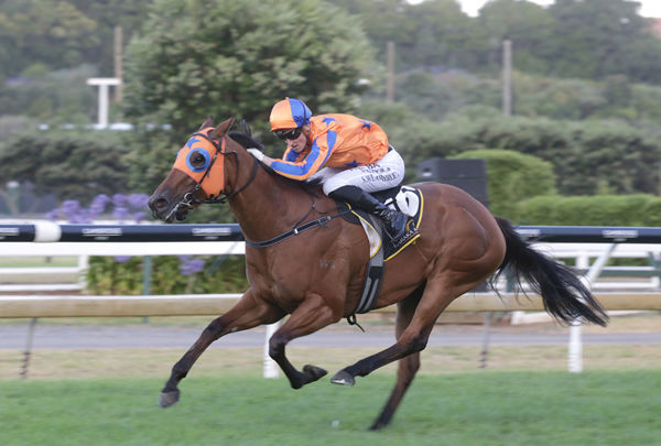 Pin Me Up dashes to the front in the Karaka Million 3YO Classic (1600m) Photo Credit: Trish Dunell
