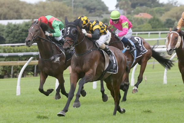 Pinarello is well clear as he takes out the Gr.2 Trelawney Stud Championship Stakes (2100m) at Pukekohe Photo Credit: Trish Dunell