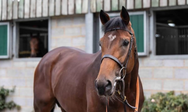 Pinhole was sold to Chris Waller Racing for 200,000 guineas.
