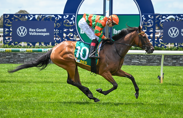 Pinotage salutes at Geelong - image Reg Ryan / Racing Photos