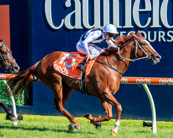 Sustained speed Pippie claims the Oakleigh Plate - images Grant Courtney
