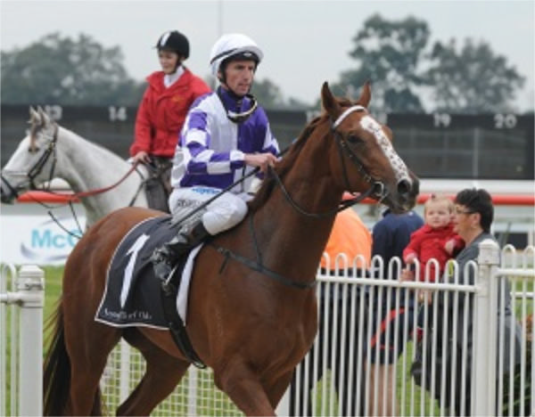 Racing as Pitcrew, he won three races for the Gai Waterhouse stable.