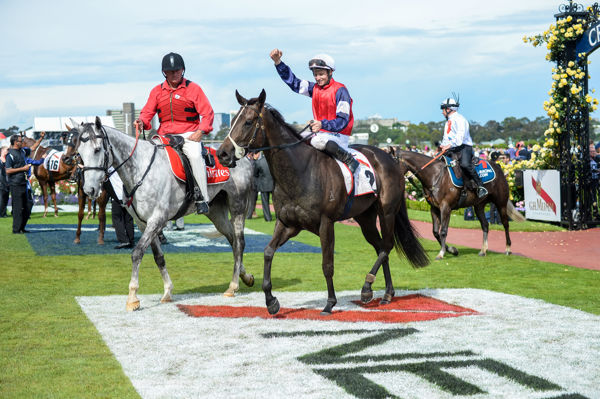 James McDonald brings Pittsburgh Flyer back to scale after winning the Mumm Stakes (image Racing Photos)