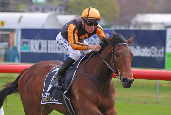 Places To Be winning the Prezzy Card Northern Country Cups Series (1300m) at Taupo on Wednesday.  Photo: Peter Rubery (Race Images Palmerston North)