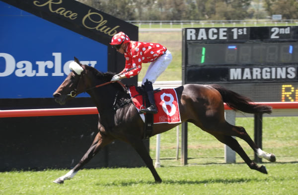 Placid Pearl wins easily at Scone - image Scone Race Club Twitter 