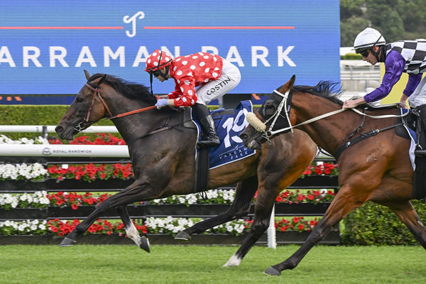 D'Argento Mare Placid Pearl Recorded Her Third Win - Image Bradley Photos