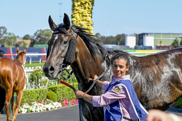 Plaintiff is now a winner - image Bradley Photos