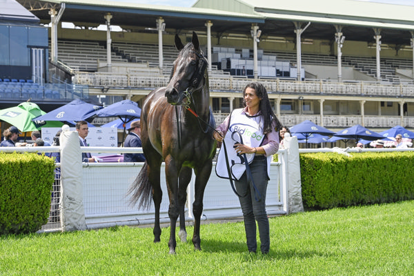 What will 2026 bring for Plaintiff? - image Bradley Photos