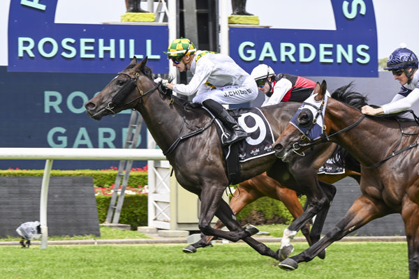 Plaintiff holds off Nitro to win at Rosehill - image Bradley Photos