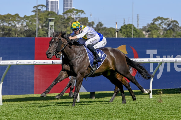 Plaintiff wins on debut - image Bradley Photos