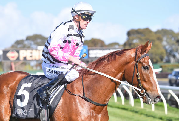 Planet Red is the latest G1 performer to emerge from the NZB Ready to Run Sale - image Pat Scala/ Racing Photos