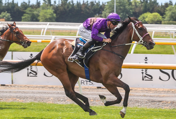 Platinum Attack winning the Listed Donaldson Brown Pegasus Stakes (1000m) at Riccarton on Saturday. Photo: Ajay Berry (Race Images South)
