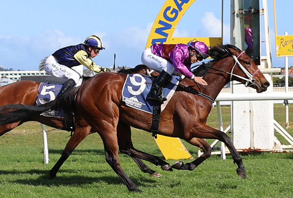 Platinum Diamond winning Saturday's Listed Wanganui Guineas (1200m).  Photo: Jane Dividson