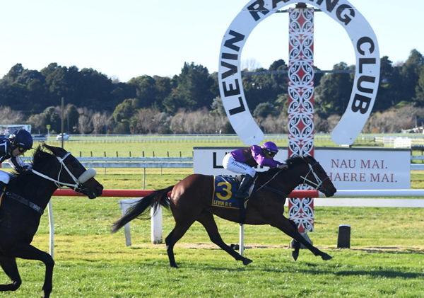 Platinum Diamond winning the Listed Ryder Stakes (1200m) at Otaki on Saturday.  Photo: Peter Rubery (Race Images Palmerston North)