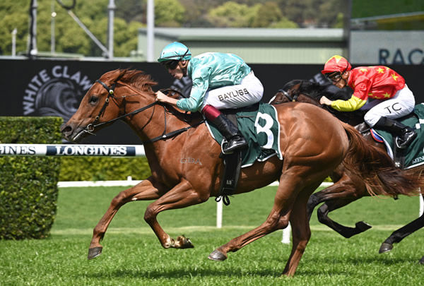 A jaw-dropping win for Platinum Jubilee in Gimcrack Stakes (image Steve Hart)