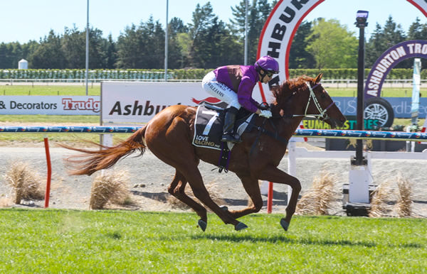 Platinum Pantheon was the only horse in the photo when taking out the McCrea Family 1200 at Ashburton on Sunday.   Photo: Race Images South