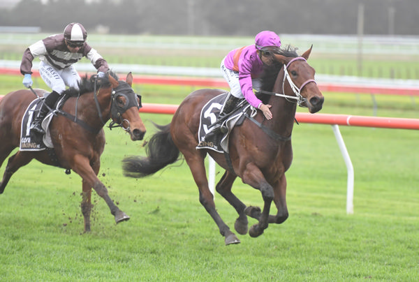 Platinum Diamond powers to victory in the Castletown Stakes at Otaki. Photo: Peter Rubery (Race Images Palmerston North)