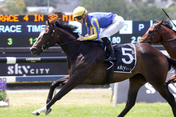 Play That Song cruises to the winning post for rider James McDonald as she takes out the Gr.2 Barneswood Farm Eclipse Stakes (1200m) at Ellerslie Photo: Trish Dunell