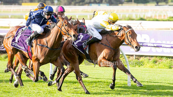 Playin'it Sweet wins the Listed Burgess Queen Stakes - image Western Racepix 
