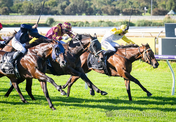 Playin' it Sweet wins the Listed Challenge Stakes - image Western Racepix