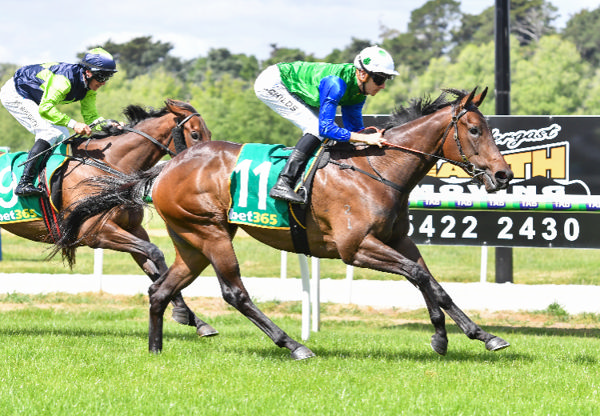 Playlist wins on debut at Kyneton - image Racing Photos 