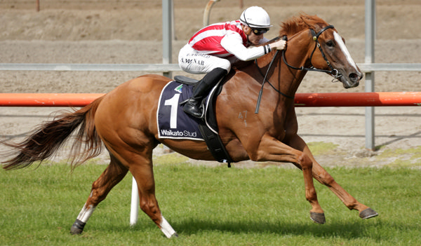 Poetic Champion winning at Matamata. Photo: Kenton Wright (Race Images)