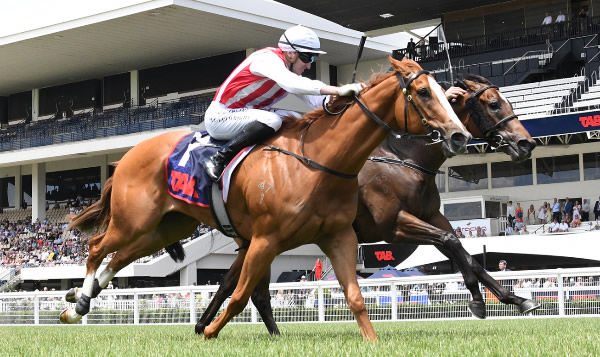 Poetic Champion (inside) winning at Ellerslie on New Year's Day.   Photo: Kenton Wright (Race Images)