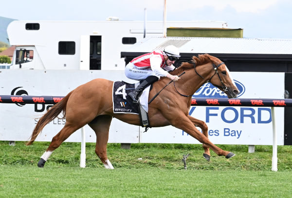 Poetic Champion powering away with the Listed El Roca - Sir Colin Meads Trophy (1200m) at Hastings on Saturday.  Photo: Peter Rubery (Race Images Palmerston North)