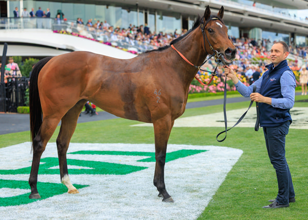 Point Barrow has ore to come - image Grant Courtney