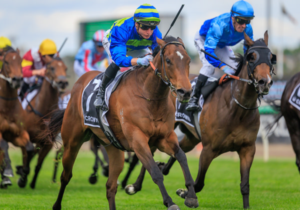 Point Barrow wins the G3 Red Roses - image Grant Courtney