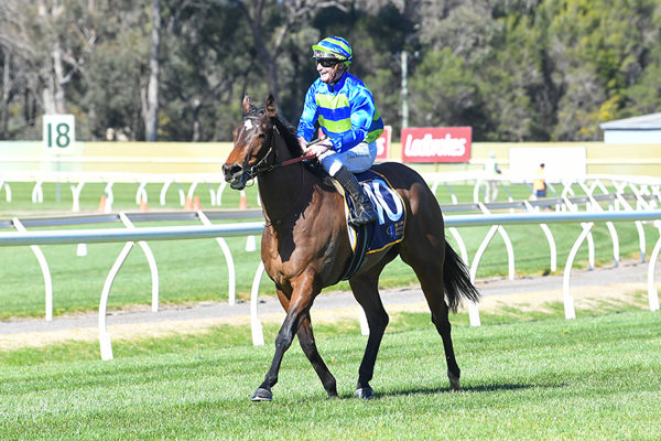 A Race Like The Atlantic Jewel Stakes Could Suit Point Barrow - Image Brett Holburt/Racing Photos