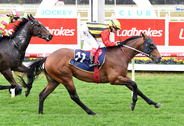 Poker scores over 1100m - image Brett Holburt/ Racing Photos