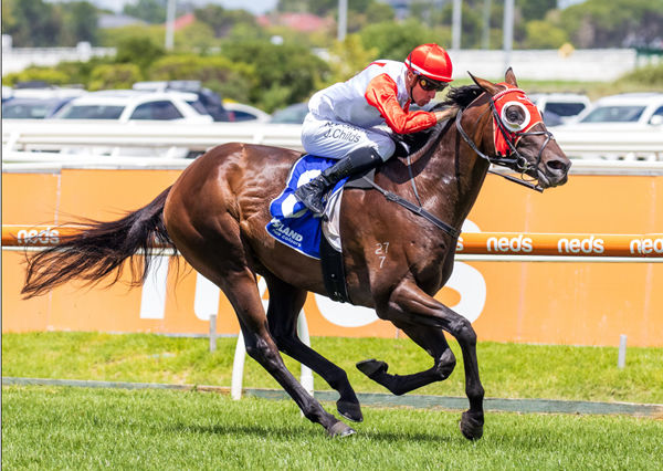 Poland wins the G2 Autumn Stakes - image Grant Courtney.