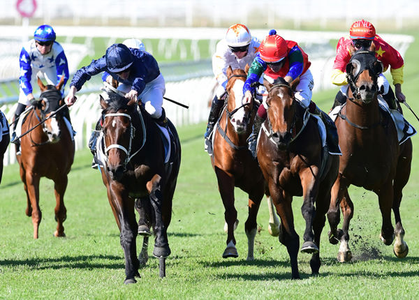  Sharp ‘N’ Smart (red cap, blue pompom) tackles the leaders in the Listed The Phoenix (1500m) at Eagle Farm Photo Credit: Trackside Photography – Grant Peters