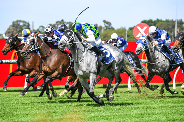 Polly Grey toughs it out (image Steve Hart)