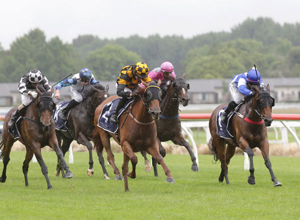 Polygon (Black & Yellow colours) proves too strong in the Gr.3 Lawnmaster Eulogy Stakes (1600m) Photo Credit: Trish Dunell