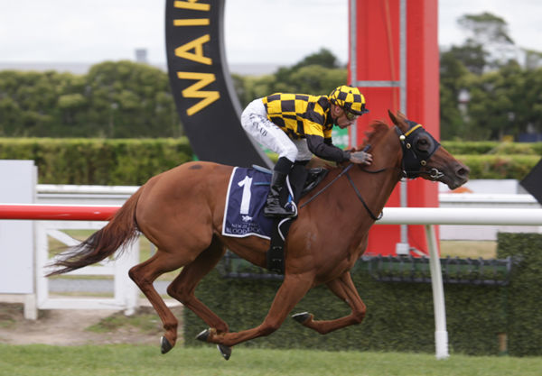 Trainer Lance Noble believes Polygon has improved ahead of Saturday’s Gr.1 Australian Oaks (2400m)  Photo: Trish Dunell