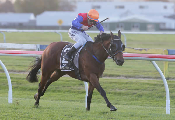 Jonathan Riddell has Pop Star Princess travelling strongly on their way to winning the Gr.3 Rydges Rotorua Classic (1400m).  Photo Credit: Trish Dunell