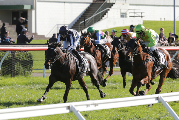 Poser defeats Leitrim Lad (inner) in the Listed Campbell Infrastructure Rotorua Cup (2200m) Photo: Trish Dunell