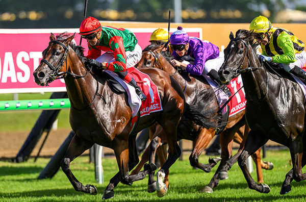 Poster Girl wins the $250,000 MM Rising Stars - image Magic Millions