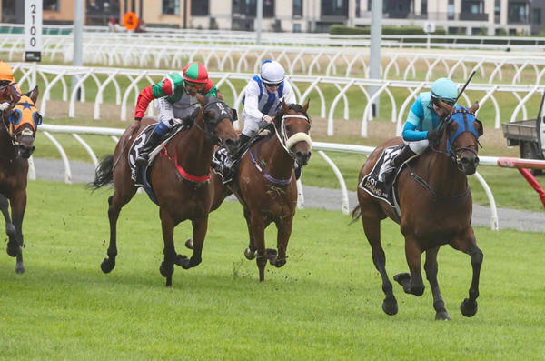 Pour The Wine winning the Listed Speight’s Timaru Stakes (1200m) at Riccarton on Saturday.  Photo: Race Images South